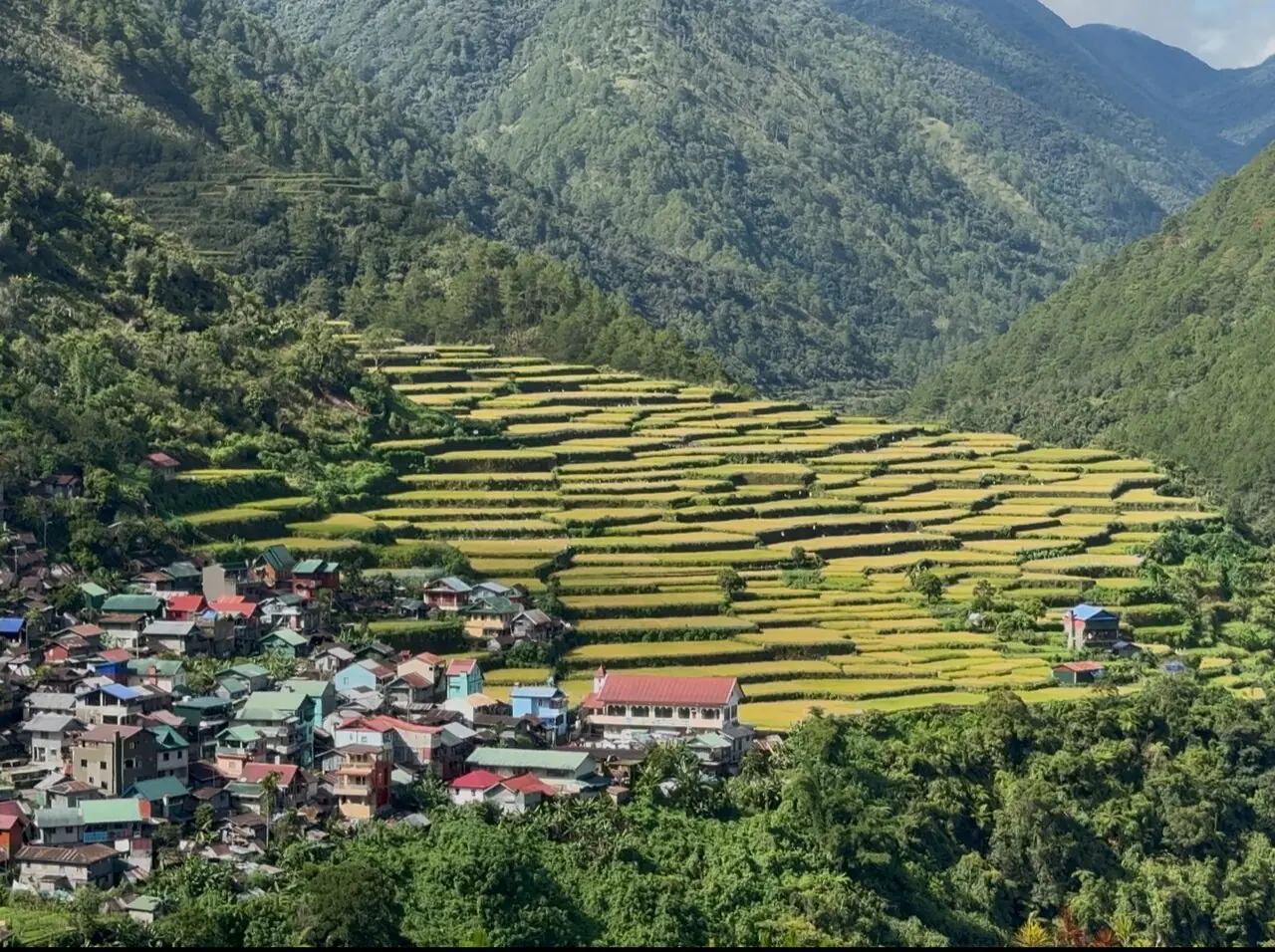 Rice terraces below a village and forested mountains in Bontoc, Mountain Province