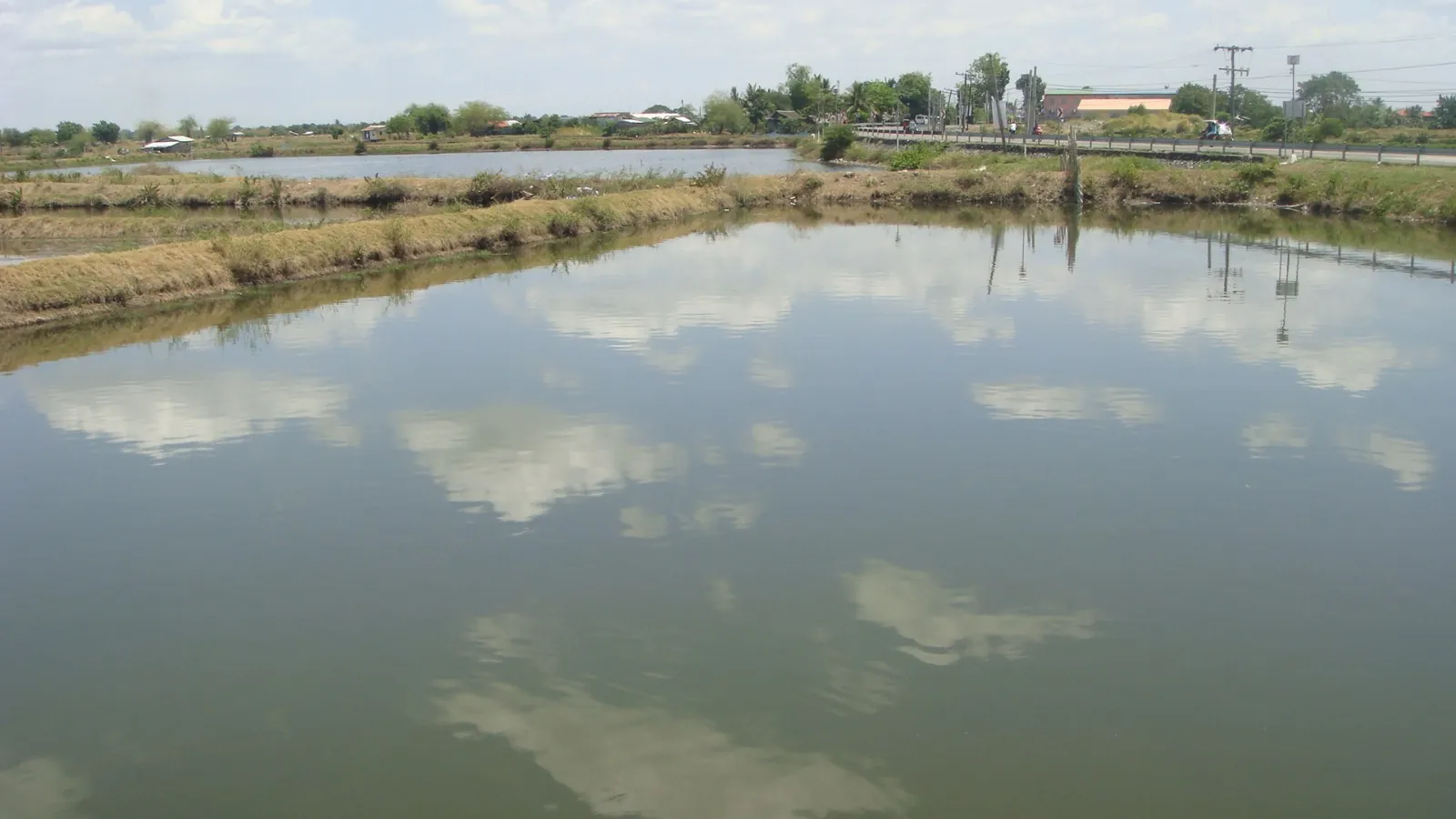 Fishponds divided by grassy dikes beside a road in Binmaley, Pangasinan, with clouds reflected in the water